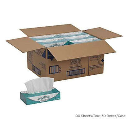 Angel Soft Professional Series 2-Ply Facial Tissue, 100 Sheets per Box